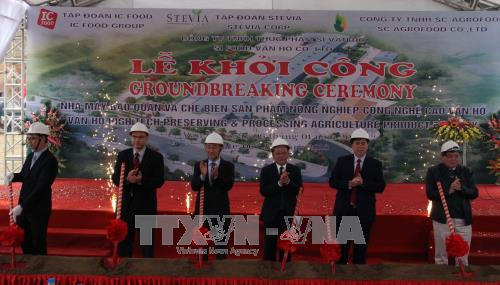 Sơn La khởi công nhà máy thứ 5 về chế biến nông sản xuất khẩu ảnh 1